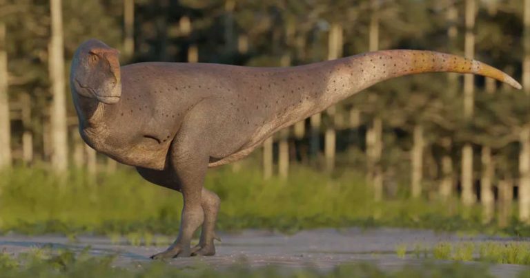 dinozaur vechi de 70 de milioane de ani carnotaurus